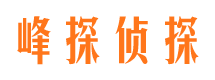 团风市婚外情调查